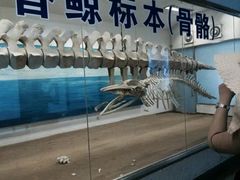 -厦门海底世界