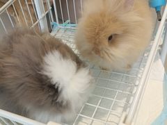 -怪兽屋·羊驼·猫咖·狗咖(俊华广场店)