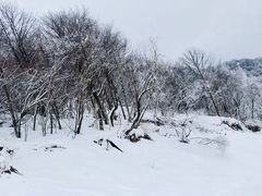 -鳌山滑雪度假区