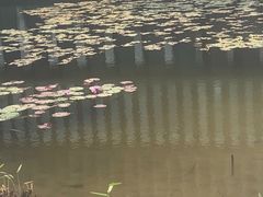-星巴克(深圳前海企业公馆店)