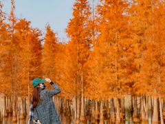 -白鹭湾湿地公园