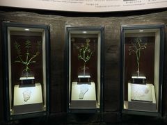 -辽宁古生物博物馆