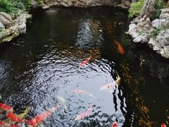 -鲤院·新中式美学·庭院餐厅(夫子庙店)