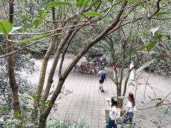 -都江堰普照寺