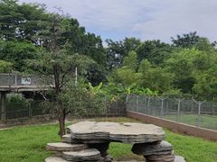 -东莞香市动物园