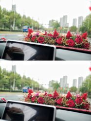 -蚂蚁婚车