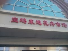 -宝鸡东道花鸟鱼虫市场(吉利花园商场店)