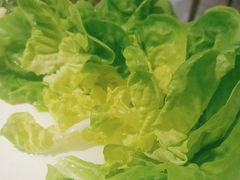 -九孔·筒骨莲藕汤锅(大明宫万达店)