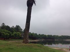 -美兰湖景区