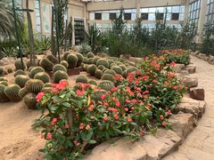 -石家庄市植物园