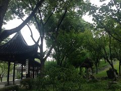 -苏州吴宫泛太平洋酒店