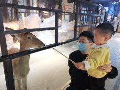 -酷嗒动物文化乐园(cutezoo西溪乐天城店)