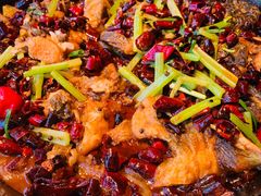 -老板恋上鱼(印象城店)