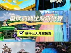 -重庆海昌加勒比海水世界