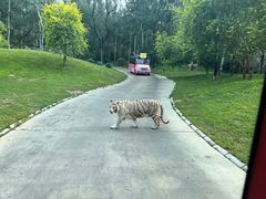 -北京野生动物园