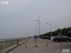 -碧海金沙