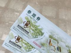 -盘龙城国家考古遗址公园