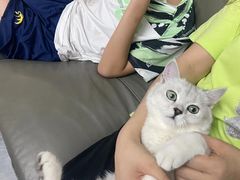 -芭比堂爱心动物医院(柯桥康爱分院)