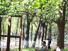 -长白岛森林公园