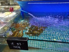 -渔民船说·北塘海鲜·天津菜·海肠捞饭(北塘古镇店)