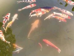 -杭州西湖柳莺里酒店