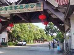 -上海海湾国家森林公园