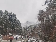 -硗碛藏寨·神木垒景区