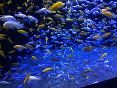 -成都浩海立方海洋公园