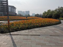 -成都欢乐谷