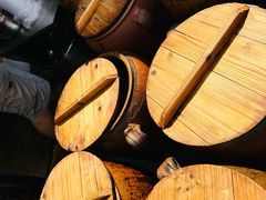 -燕子煨汤(山海关路店)