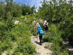 -阳台山自然风景区