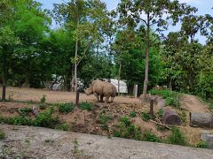 -清迈夜间动物园