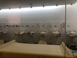 -海豚湾高端月子会所(黄浦店)