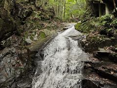 -藏龙百瀑风景区