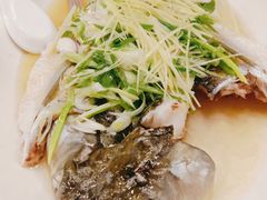 -粤·向群饭店(龙津东路总店)