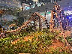 -自贡恐龙博物馆