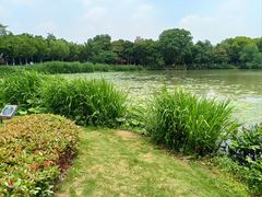-南通濠河风景名胜区