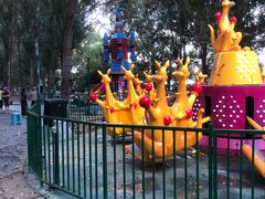 -长白岛森林公园