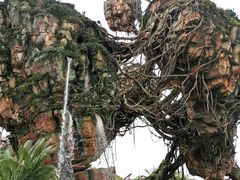 -奥兰多迪士尼动物王国乐园