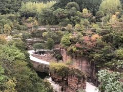 -王莽岭风景区