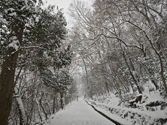 -紫金山山顶公园