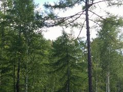 -北极村旅游风景区