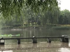 -望湖公园