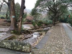 -雨花胜境