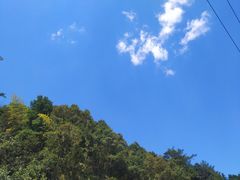 -九龙江国家森林公园