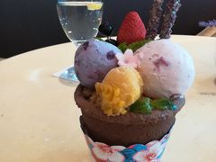 -哈根达斯(石家庄北国店)