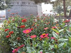 -广胜寺塔