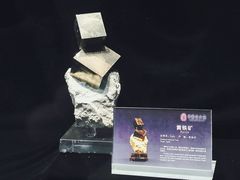 -中华赏石园