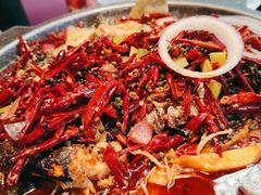 -南锣肥猫·麻辣烤鱼·15年现烤现卖(通州领展店)