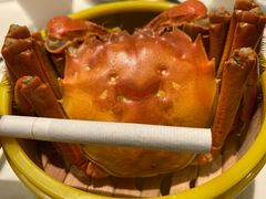 -蝶园·装修中(BFC外滩金融中心店)